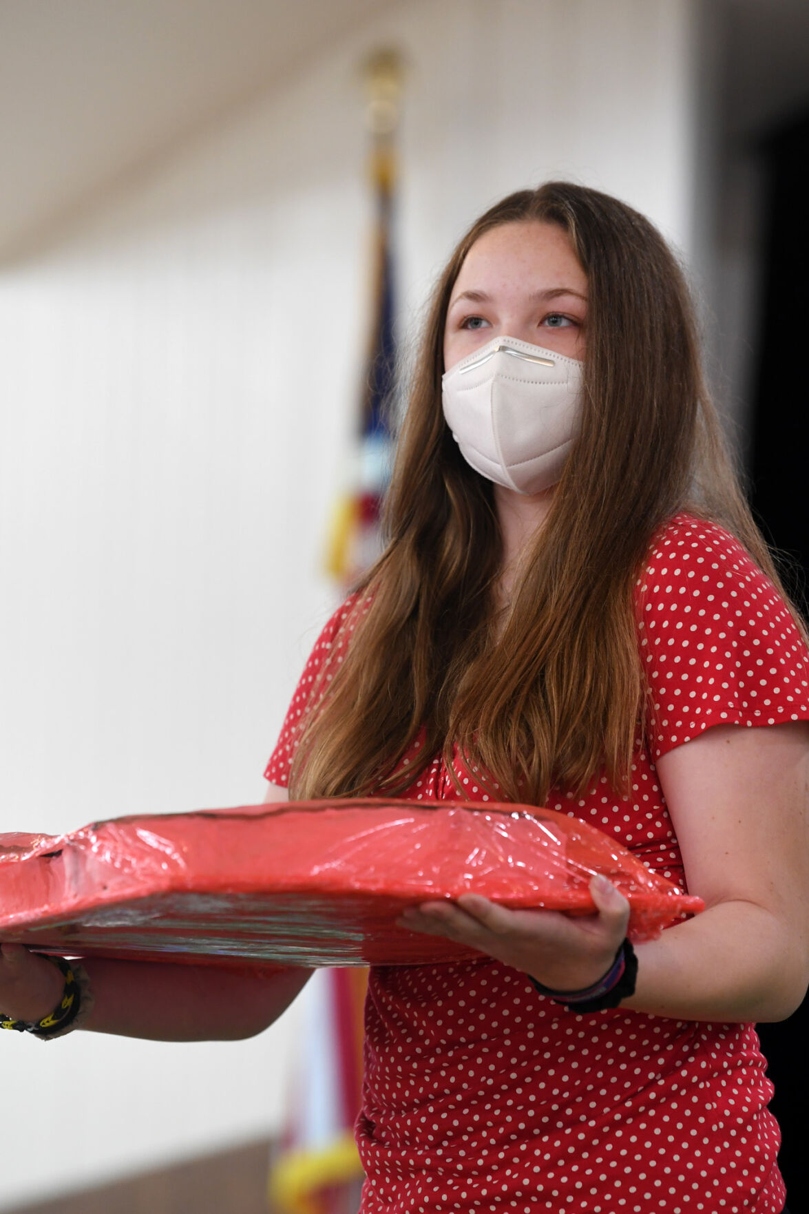 Brazos County 4-H Cake Show and Auction